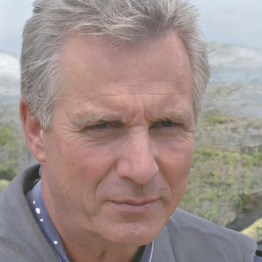 Instructor profile of Dr. Henrik Bjornsen